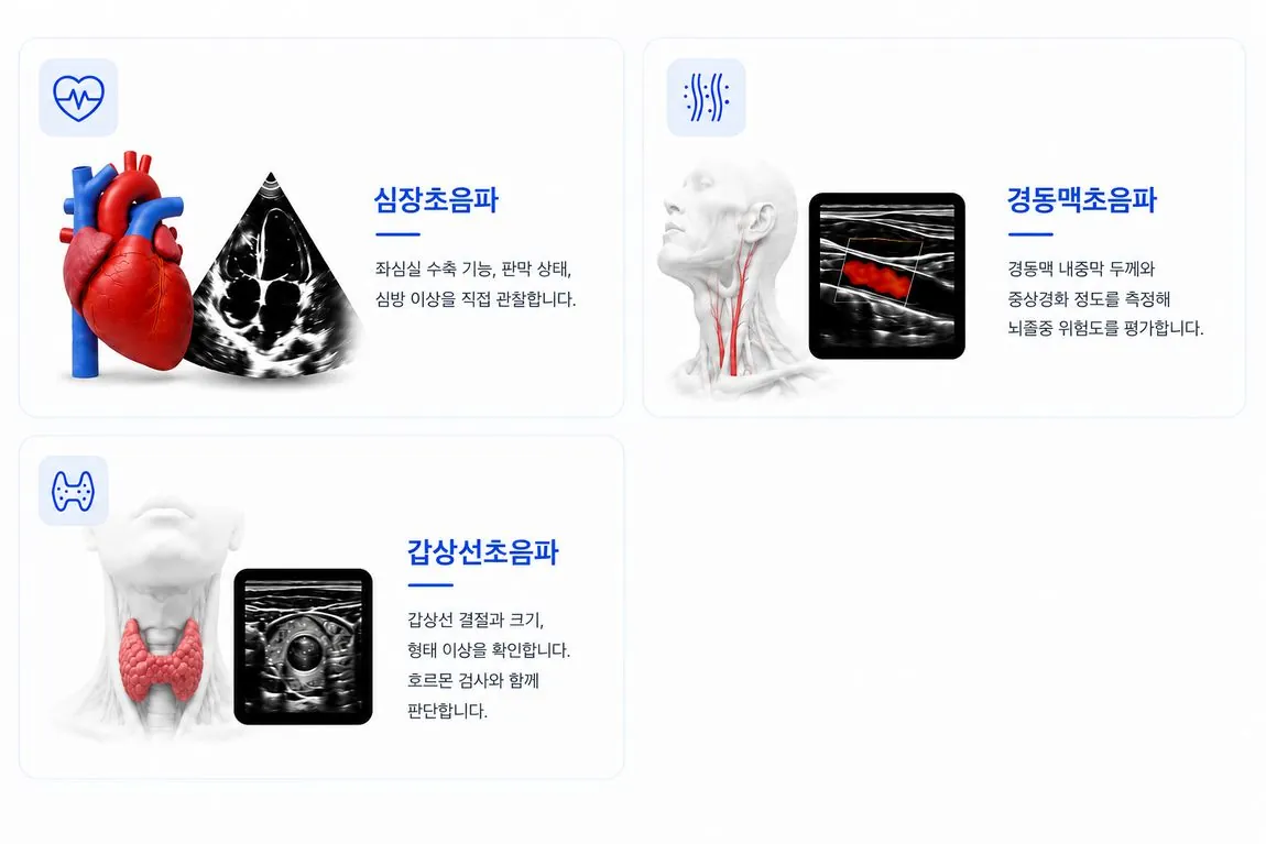 심장초음파, 경동맥초음파, 갑상선초음파
